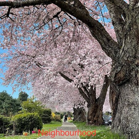 South Vancouver Guesthouse 외부 사진